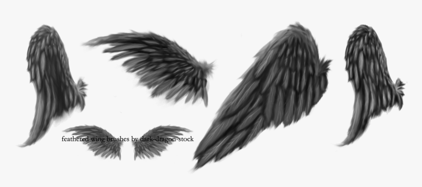 Black Angel Wings Drawing, HD Png Download
