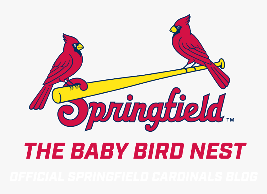 Baby Bird Png - Springfield Cardinals Logo Png, Transparent Png