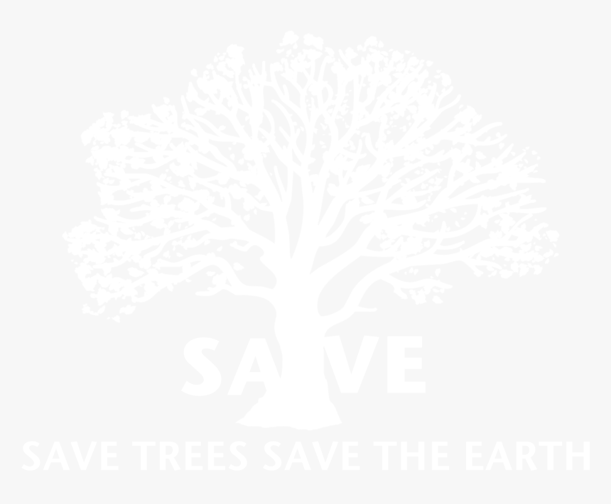 Tree, HD Png Download