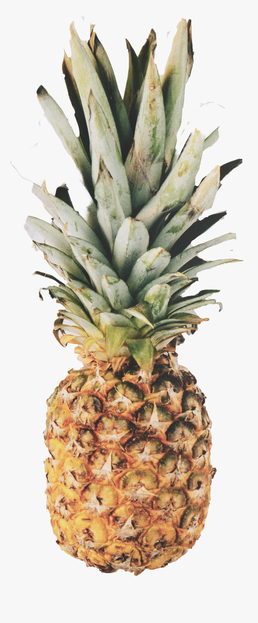 Pineapple Png Image - Pineapple Marble, Transparent Png