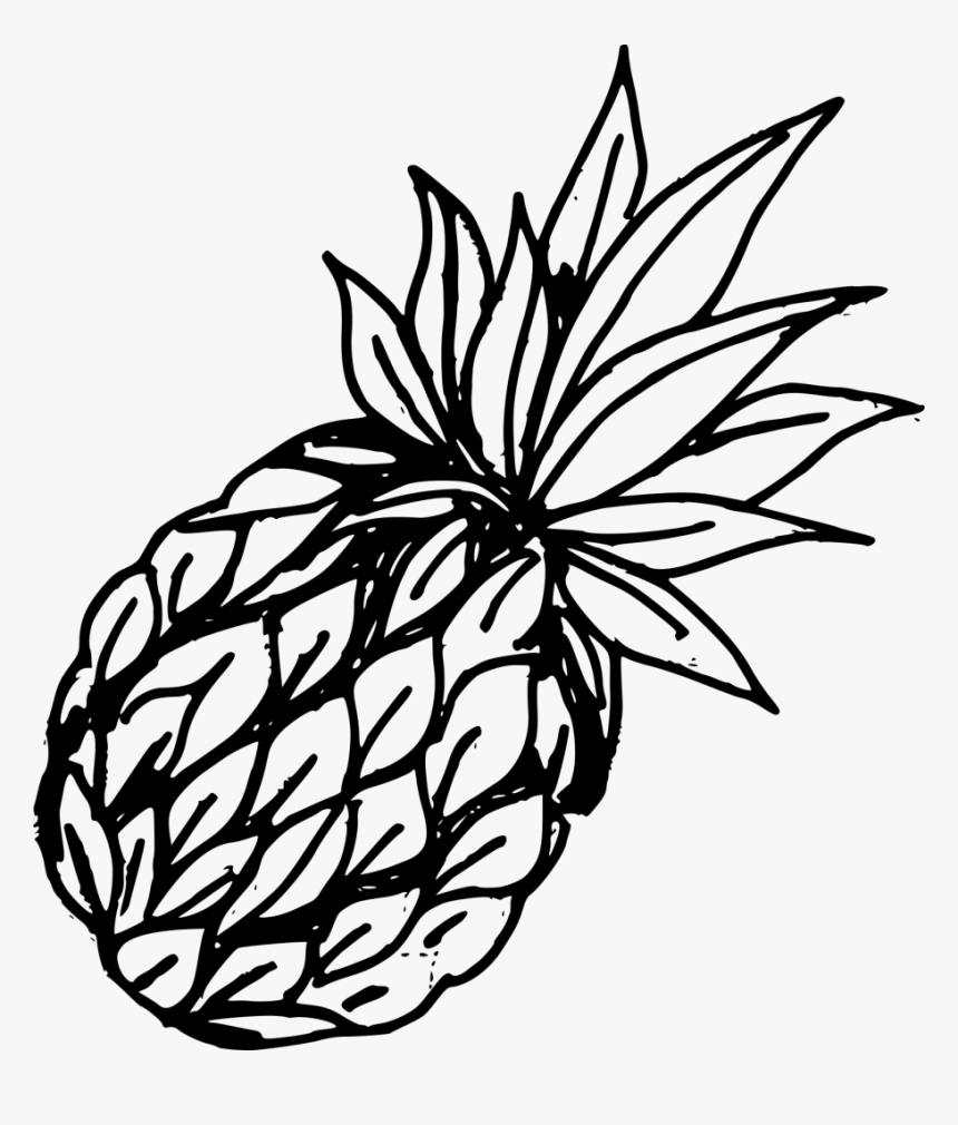 Stroke Drawing Fruit - Drawn Pineapple Png, Transparent Png