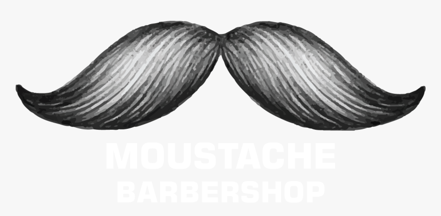 Barber Shop Moustache, HD Png Download
