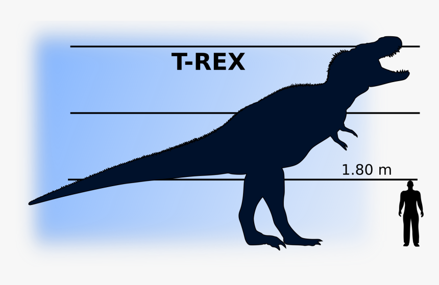 T-rex Vs Man Clip Arts - Dinosaur Compared To Man, HD Png Download