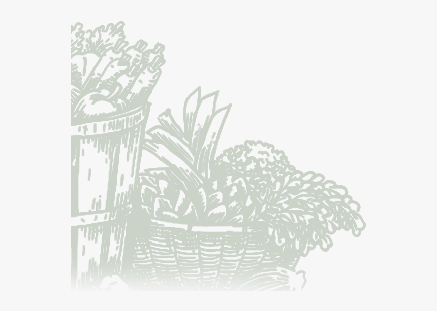 Illustration, HD Png Download