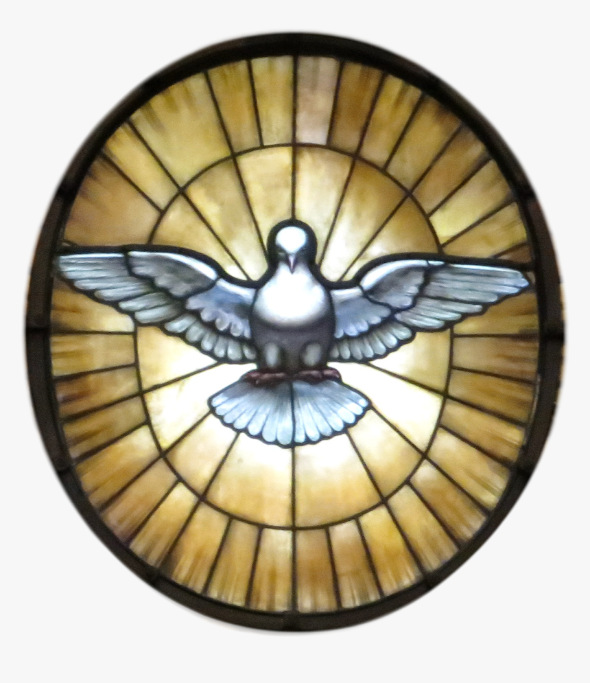 Drawing Holy Spirit Dove, HD Png Download