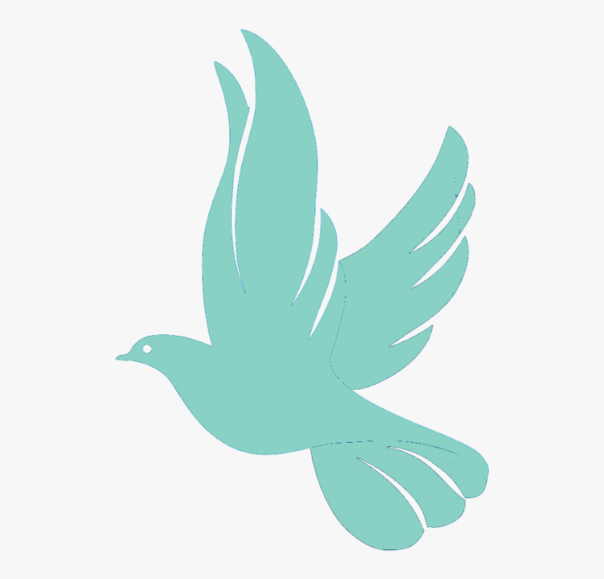 60 White Doves $350 - Illustration, HD Png Download