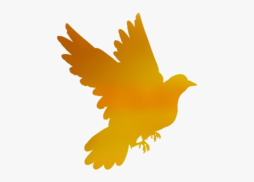 Dove Png Transparent Images - Red-tailed Hawk, Png Download