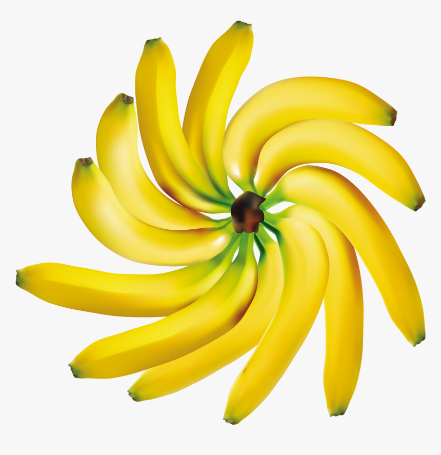 Bananas Decoration Png Clipart - Clipart Fruits Fond Transparent, Png Download