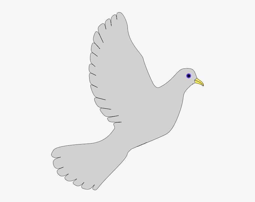 Peace Dove-grey - Pigeons And Doves, HD Png Download