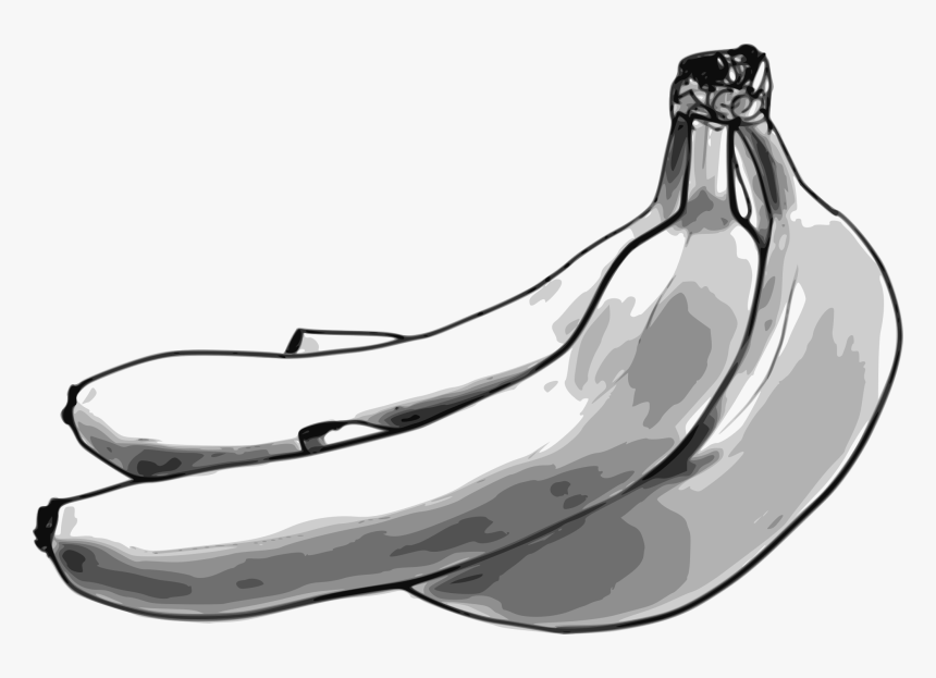 Monochrome Photography,jaw,drawing - Drawing Banana Black And White, HD Png Download