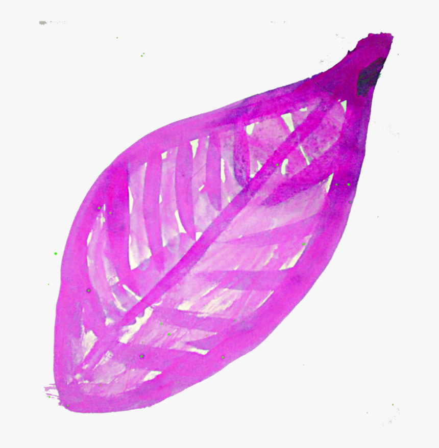 Transparent Vector Leaves Png - Fall Leaves Png Pink, Png Download