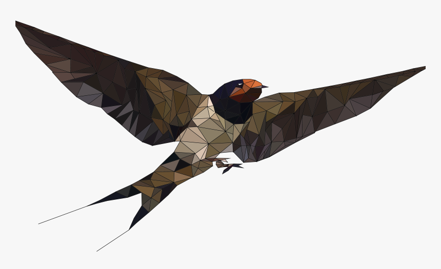 Bird, HD Png Download