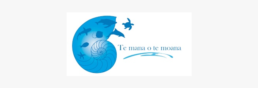 Graphic Design, HD Png Download