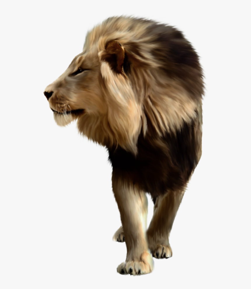 Lion Png Free Download - Lion Png For Picsart, Transparent Png