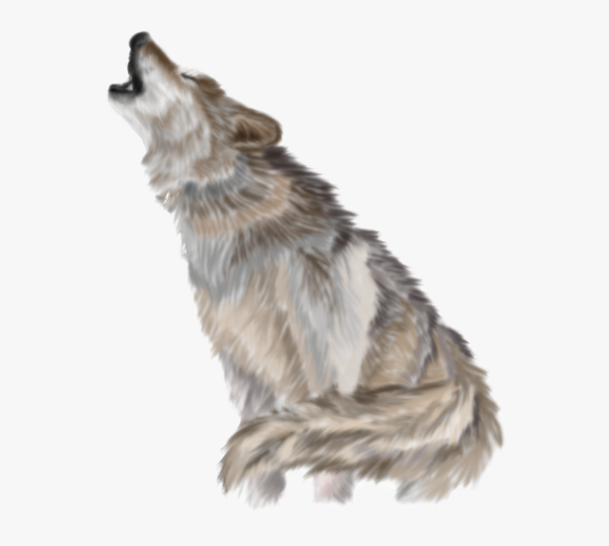 Download Wolf Png Pic - Transparent Background Wolf Png, Png Download