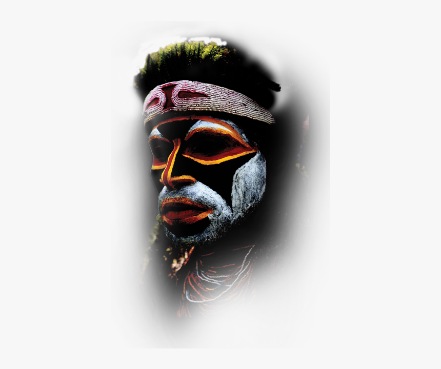 Phasianidae, HD Png Download