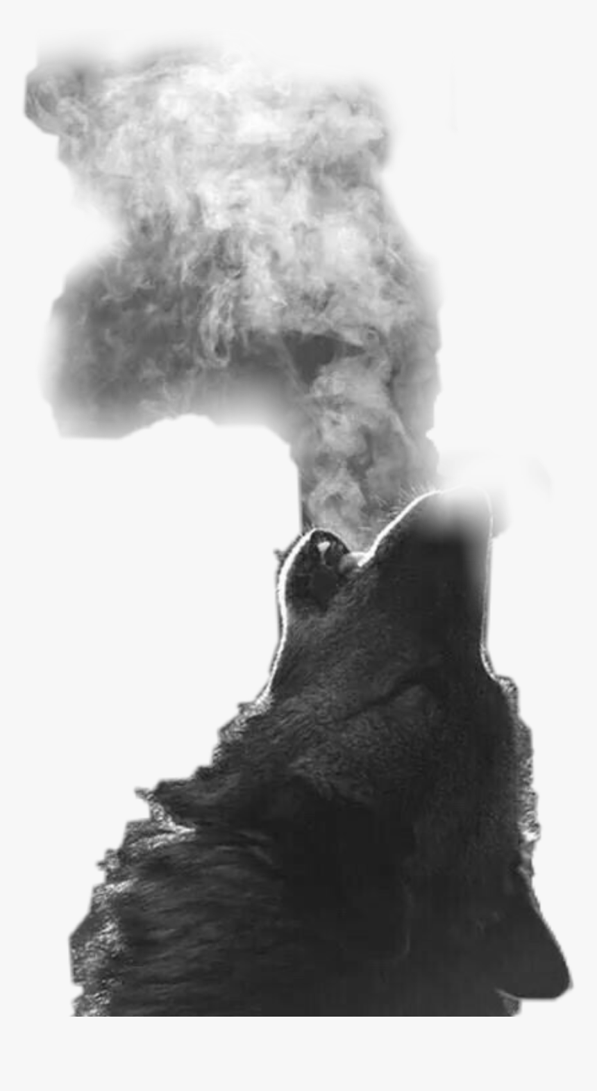 Not My Photo But I Thought It Was Cool Fond D Ecran Loup Hd Png Download Transparent Png Image Pngitem