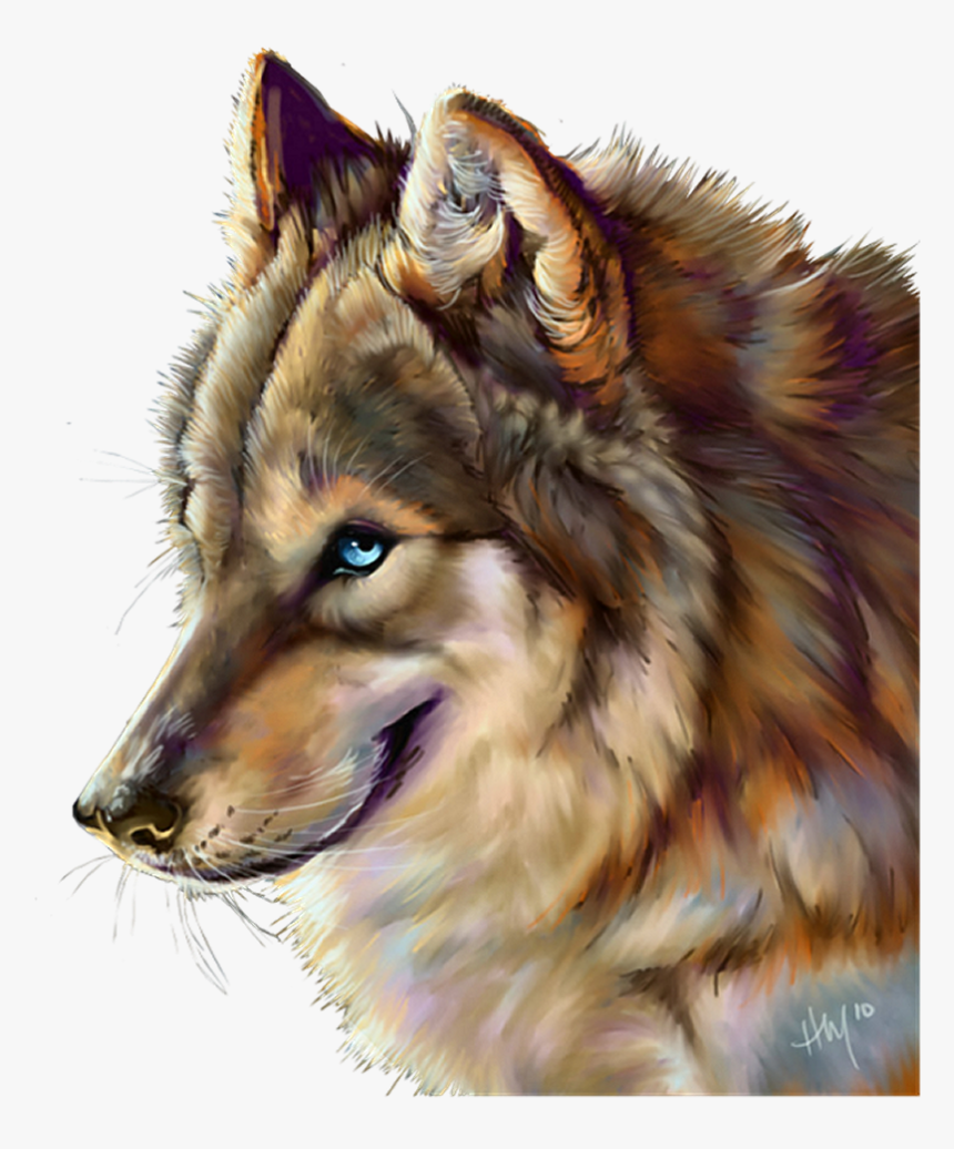 Wolf Png, Transparent Png