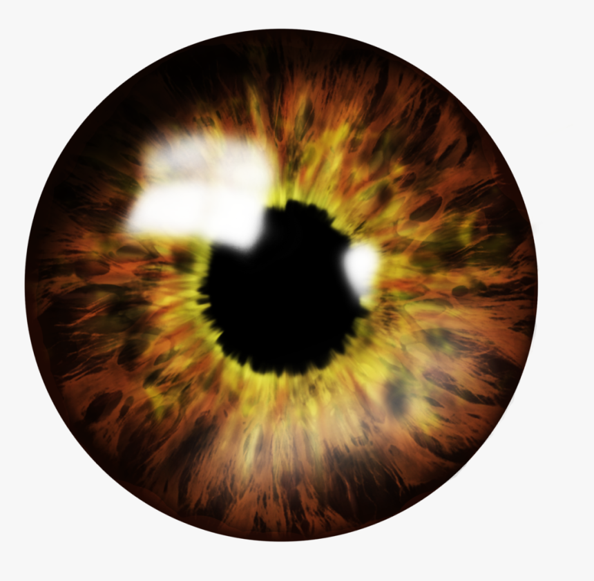 Brown Eye Png File - Eye Lens Png, Transparent Png