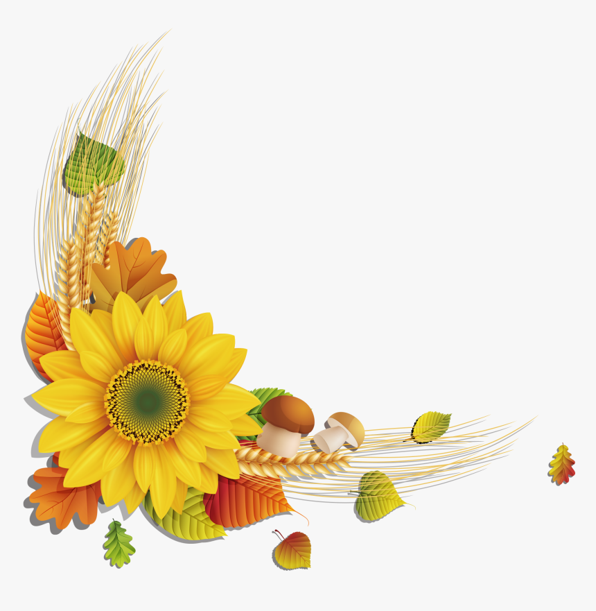 Sunflower Png - Download - Sunflower Frame Png, Transparent Png