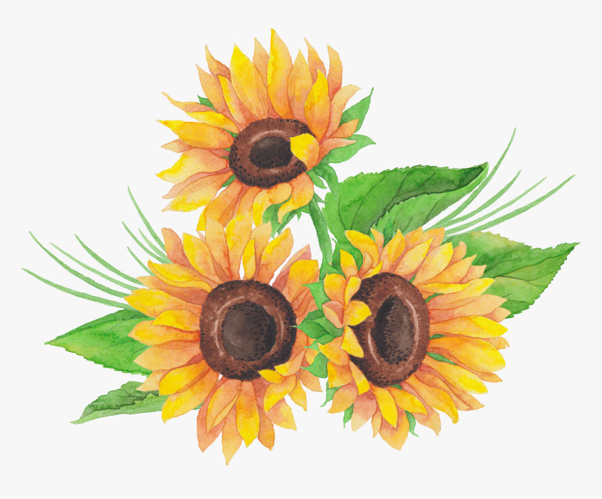 Sunflowers Png Dead - Sunflower, Transparent Png