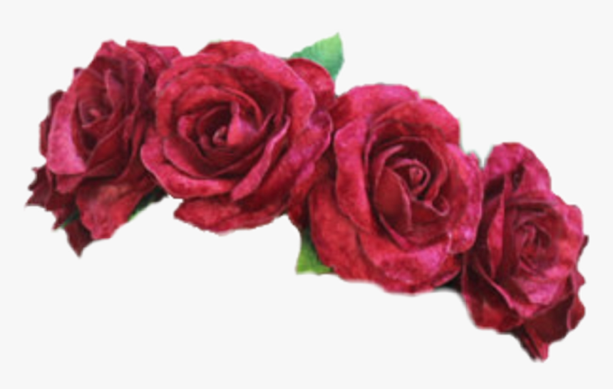 Pink,rose,garden Roses,flower,rose Family,red,cut Order,flowering - Rose Flower Crown Png, Transparent Png