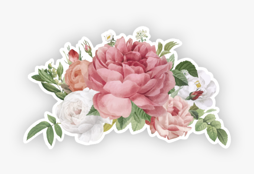 Garden Roses - Vintage Flowers Transparent Background, HD Png Download