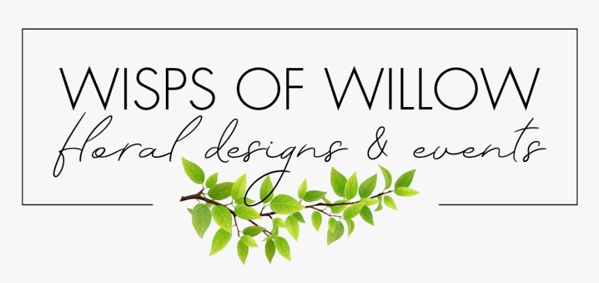 Wisps Of Willow - Calligraphy, HD Png Download