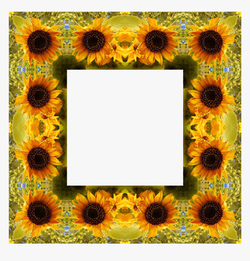 Clipart Sunflower Png Best - Calendar, Transparent Png