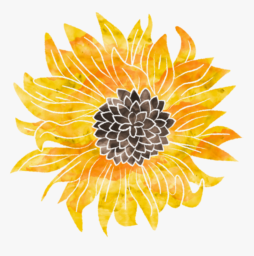 Welcome To Wedig Wellness - Sunflower, HD Png Download