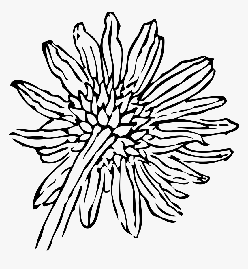 Back Of A Sunflower Clip Arts - Simple Flower Line Art Png, Transparent Png