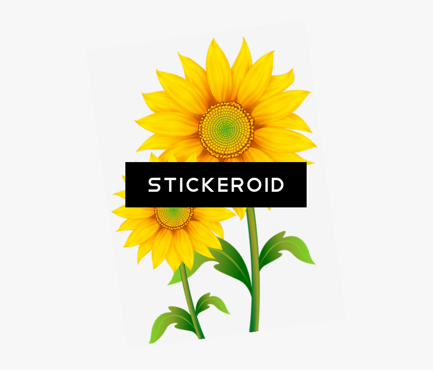 Transparent Background Sunflower Png , Png Download - Nice Yellow Flower Background, Png Download