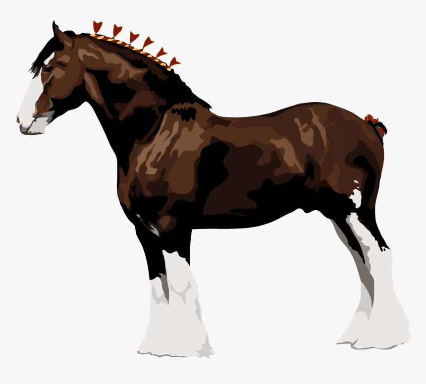 Horse Leg Png - Raça De Cavalo Clydesdale, Transparent Png