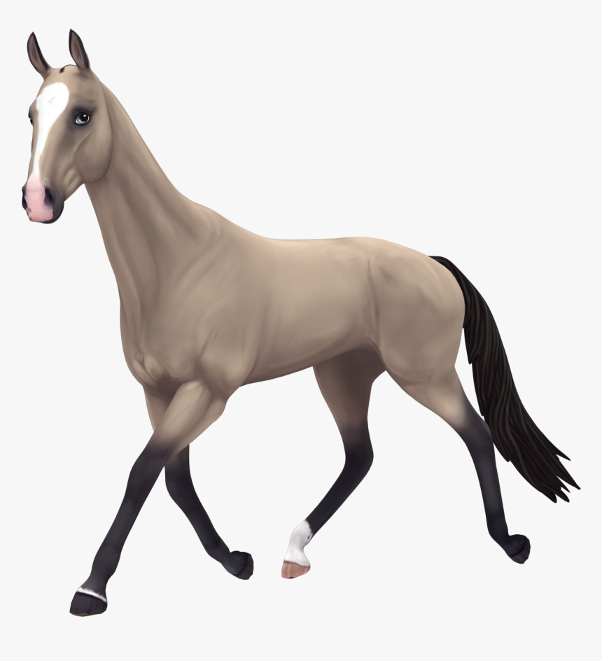 Star Stable Akhal Teke Buttermilk Buckskin, HD Png Download