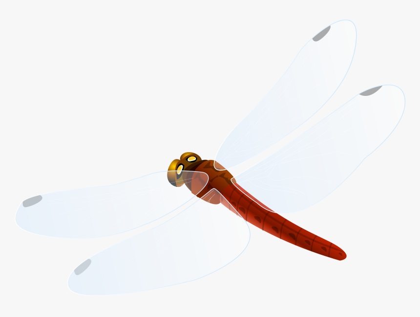 Red Dragonfly Png Clipart - Hunting Knife, Transparent Png