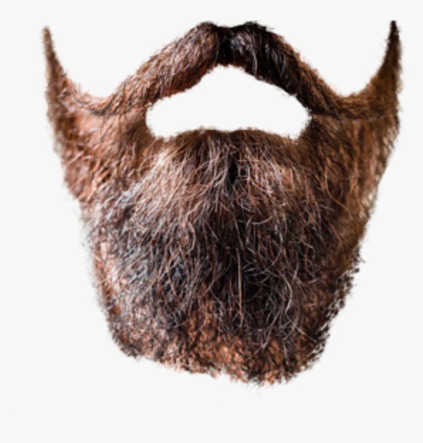 Beard Transparent, HD Png Download