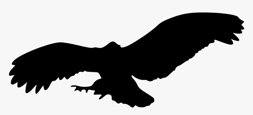 Eagle Flying Png -eagle Bird Animal Flying Png Image - Owl Flying Silhouette Png, Transparent Png