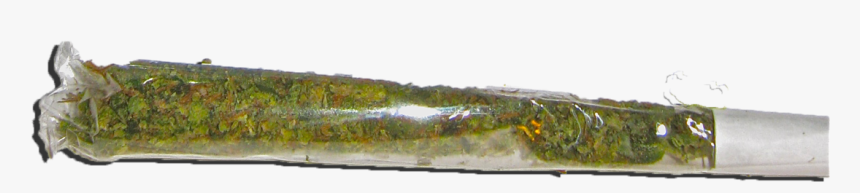 Grass, HD Png Download