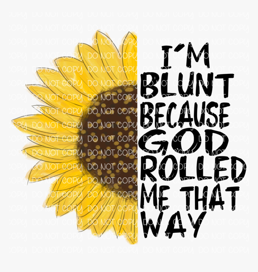 Sunflower, HD Png Download