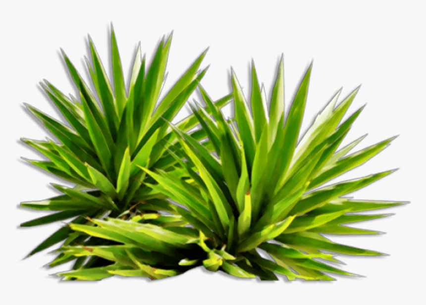 Ftestickers Flowers Sticker By Pennyann Report Abuse - Plant Png, Transparent Png