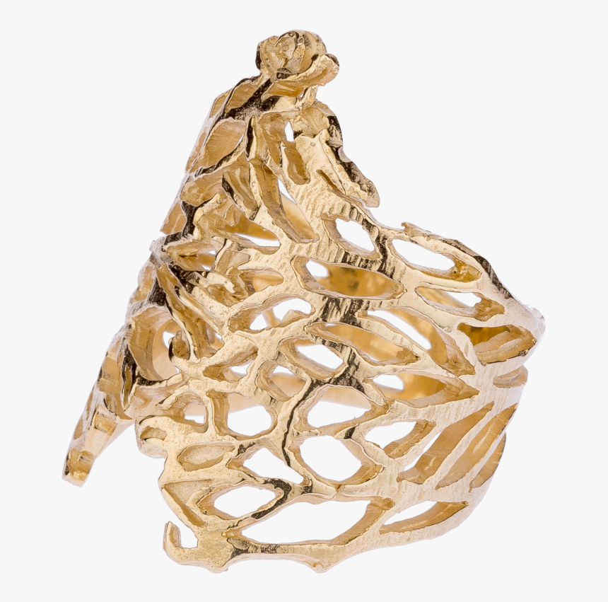 Thorn Crown Png -thorn Bush Rings - Wood, Transparent Png