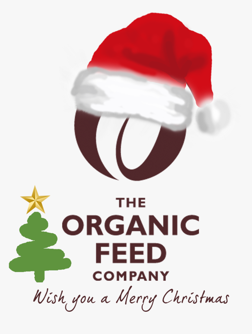 Andhra Bank, HD Png Download