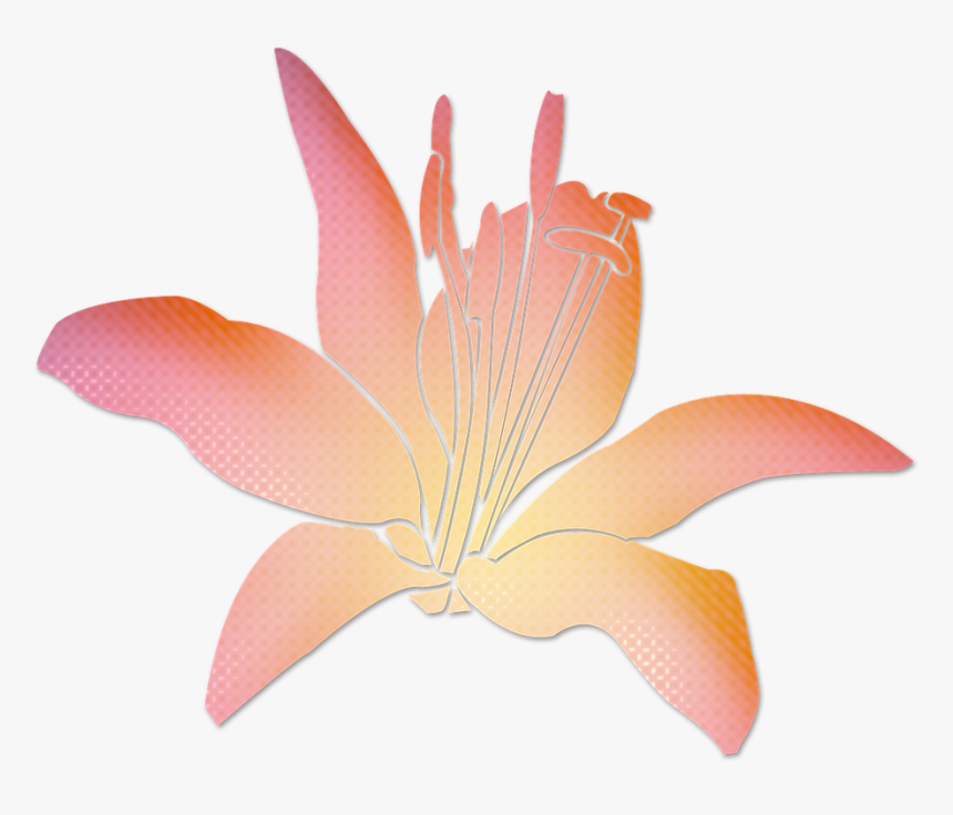 Transparent Pink Flowers Png - Lily, Png Download