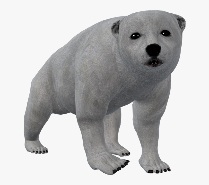 Transparent Polar Bear Png - Otter, Png Download