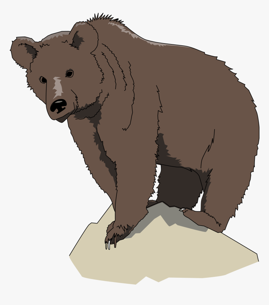 Brown Bear Clip Arts - Drawing Grizzly Clip Art, HD Png Download