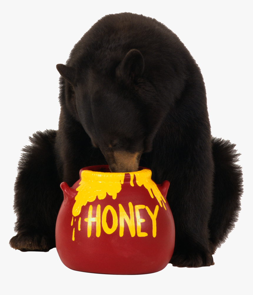 Download For Free Bear Icon, HD Png Download