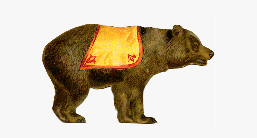 Circus Bear - Circus Bear Transparent Png, Png Download