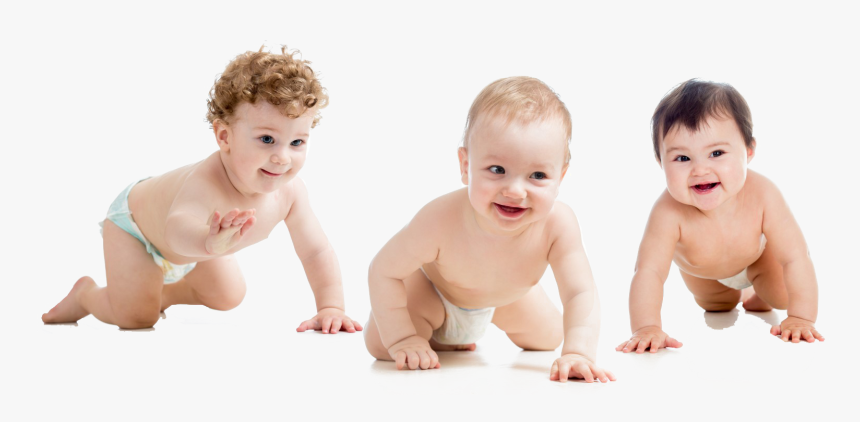 Babies Png Background - Child's Temperament, Transparent Png