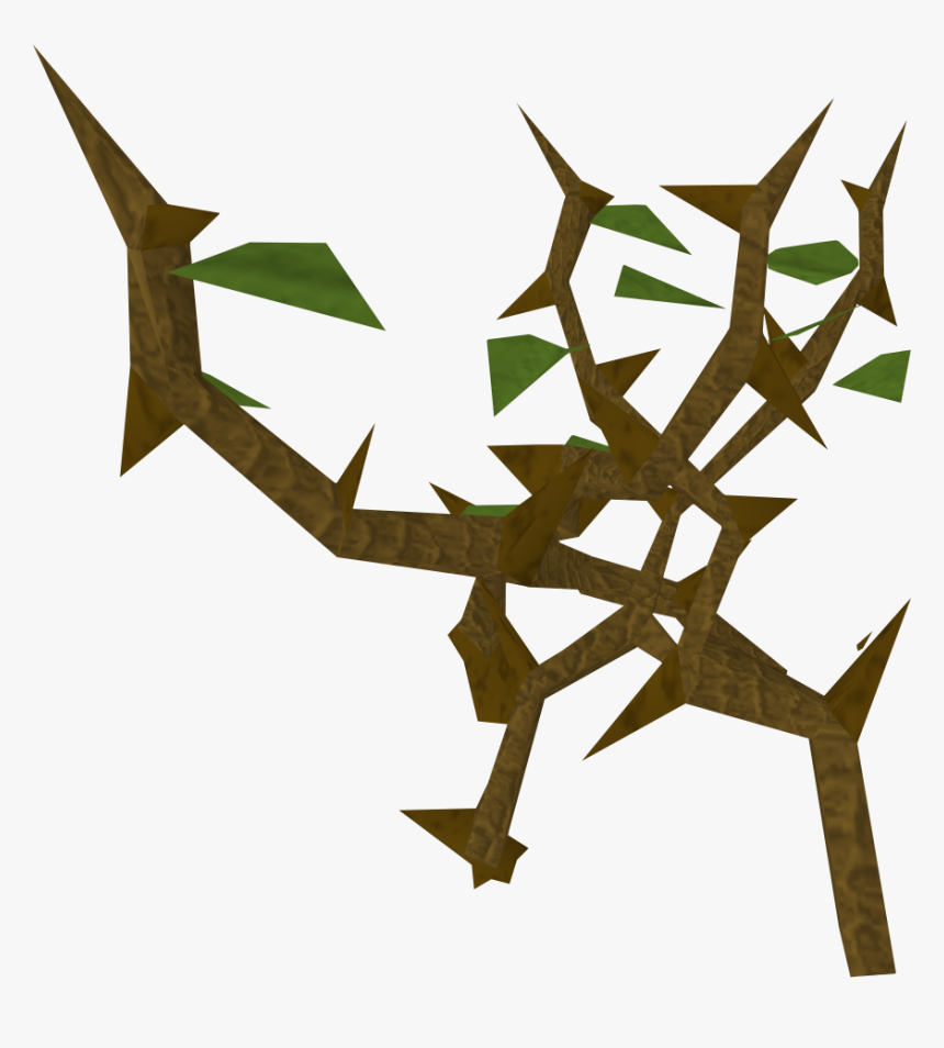 Jungle Vines Png - Portable Network Graphics, Transparent Png