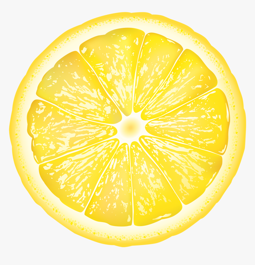 Circle, HD Png Download